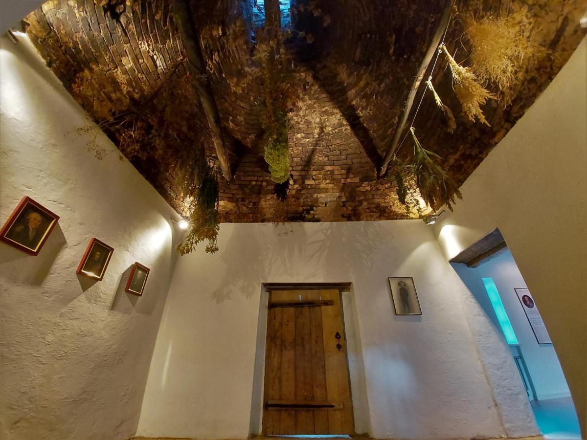 Hotel Blankenfeldes Muiza Tērvete Zewnętrze zdjęcie