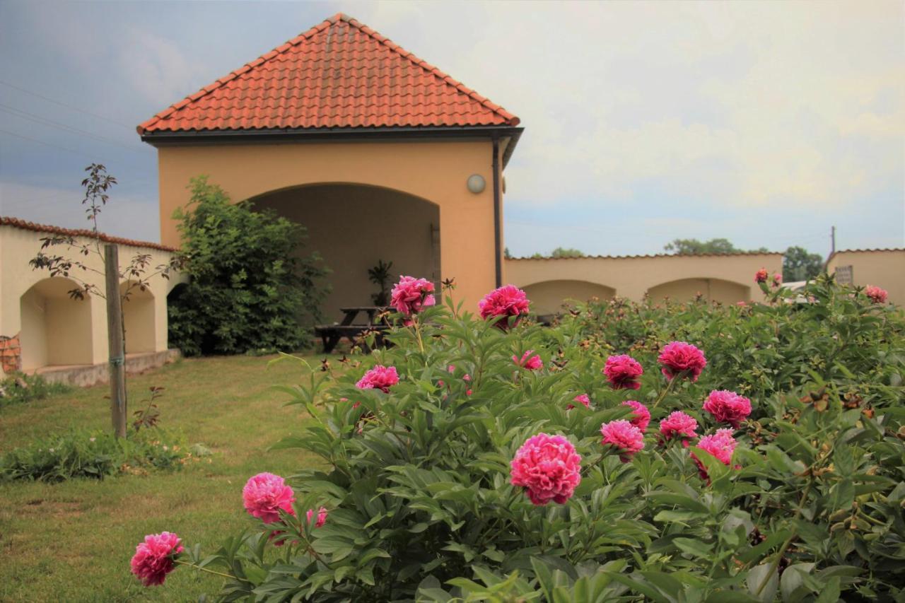 Hotel Blankenfeldes Muiza Tērvete Zewnętrze zdjęcie